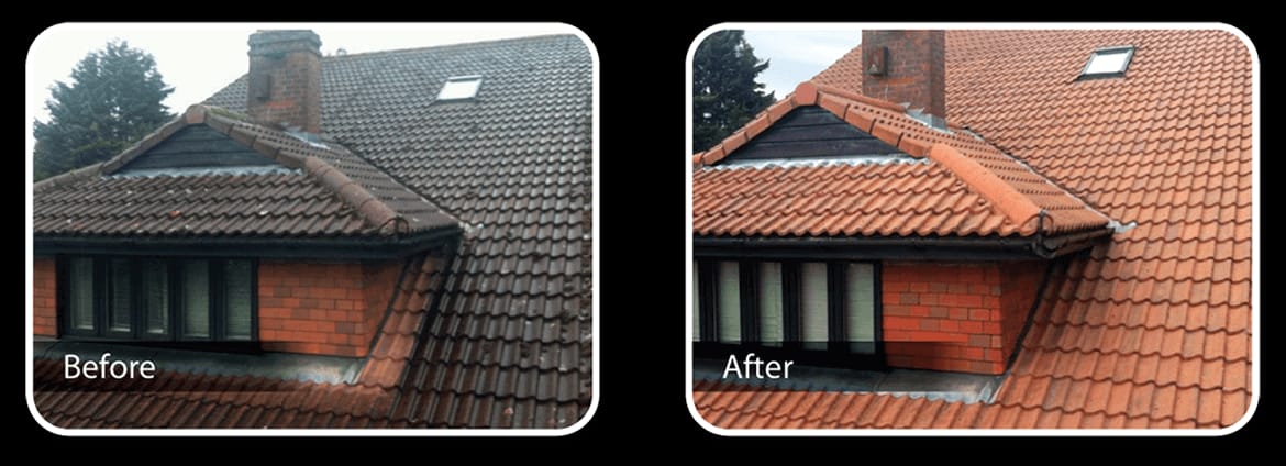 Roof Cleaning